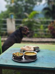 un tavolo con del cibo sopra con un cane di Nature Villa a Rishikesh