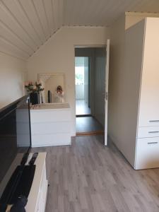 Kuchyň nebo kuchyňský kout v ubytování Olgas apartment + 16 fotografií