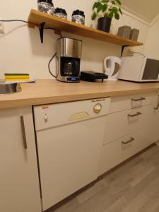Kuchyň nebo kuchyňský kout v ubytování Olgas apartment