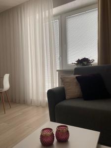 sala de estar con sofá y ventana en Apartman Hestia en Rajecké Teplice