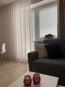 a living room with a couch and a window at Apartman Hestia in Rajecké Teplice