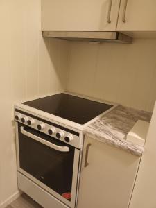 Kuchyň nebo kuchyňský kout v ubytování Olgas apartment