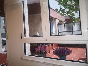 a window with three potted plants inside of it at Casa Riera * En el centro de Oviedo, terraza, 2Hab in Oviedo