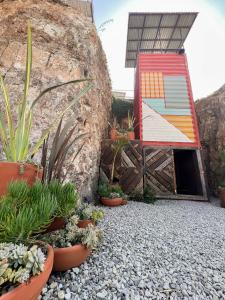 een tuin met potplanten voor een gebouw bij Native Residence in Rosarito