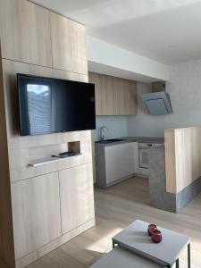 Kuchyňa alebo kuchynka v ubytovaní Apartman Hestia + 23 fotografií