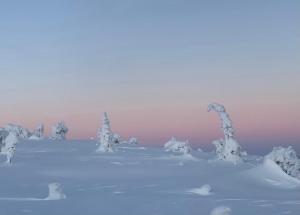 un campo cubierto de nieve con árboles en la nieve en VillaRiutta Ruka, en Kuusamo