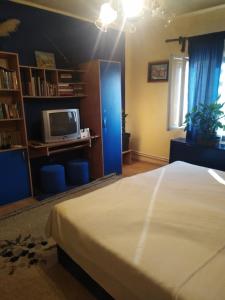 a bedroom with a large bed and a tv at Dusica in Vrnjačka Banja