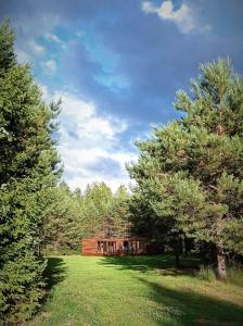 a house in the middle of a field with trees at Roheluse metsamaja with hot tub and sauna 