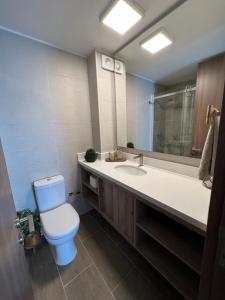 W łazience znajduje się toaleta, umywalka i lustro. w obiekcie Terrazas de Cochoa w mieście Viña del Mar