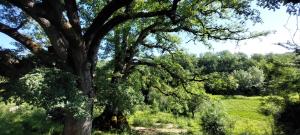 Un paisaje natural cerca of the country house