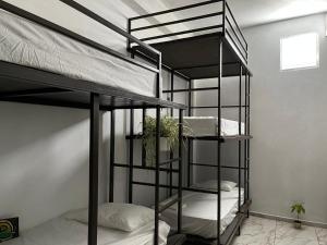 Divstāvu gulta vai divstāvu gultas numurā naktsmītnē Rincon Dorms