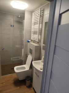 ein Bad mit einem WC, einem Waschbecken und einer Dusche in der Unterkunft Apartament Japko in Gliwice