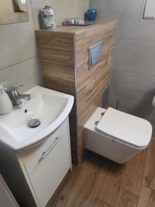 ein kleines Bad mit einem Waschbecken und einem WC in der Unterkunft Apartament Japko in Gliwice