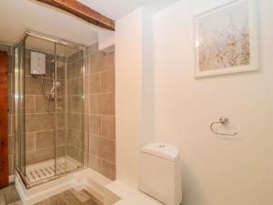 a bathroom with a shower stall and a toilet at Oak Cottage in South Molton +33 photos