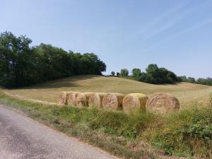 Un paisaje natural cerca of the country house