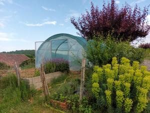 Un jardín fuera de Les Gites de Campardon