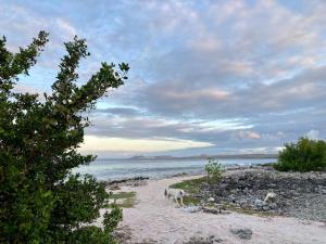 Afbeelding uit fotogalerij van Hakuna Matata Bonaire - Beach & Diving in Kralendijk