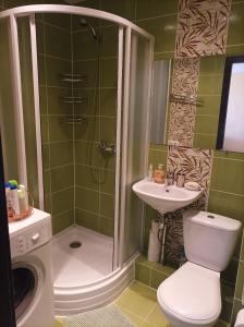 a bathroom with a shower and a toilet and a sink at Centrinio parko apartamentai in Šiauliai