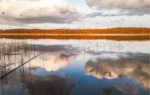 Príroda v okolí apartmánu + 9 fotografií