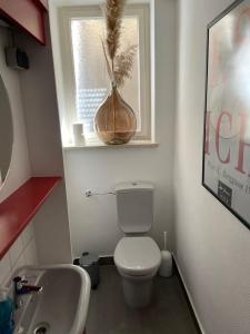 a bathroom with a toilet and a sink and a window at Gartenapartment mit Ausblick stadtnah in Bad Mergentheim
