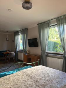 1 dormitorio con 1 cama, TV y ventana en Großes Apartment mit Terrasse und Garten, en Oberhaching