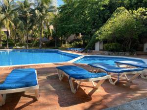 - une piscine bordée de chaises longues bleues dans l'établissement Perla y Tropical By Andiani, à Cancún