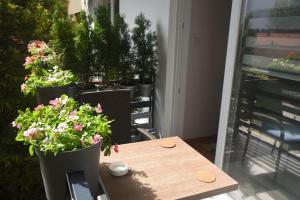 a table with a pot of flowers on a balcony at Dekart 2 Apartment in Niš
