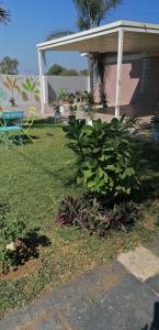 a house with a green bush in front of a yard at Country Block in Gaborone