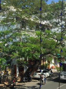 un árbol delante de un edificio con coches aparcados debajo en La Maison Pondichéry en Pondicherry