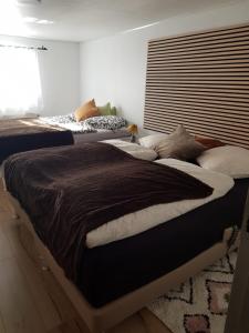 Postel nebo postele na pokoji v ubytování Trandafir Guesthouse
