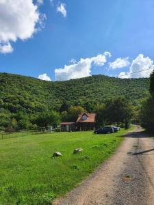 Paesaggio naturale nelle vicinanze della stanza in casa privata