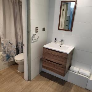 een badkamer met een wastafel, een toilet en een spiegel bij Apart Hotel Rapa Nui in Hanga Roa