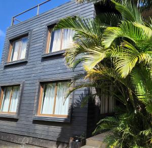 a black house with windows and a palm tree at Apart Hotel Rapa Nui in Hanga Roa