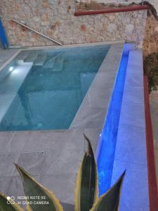 a swimming pool with a cactus in front of it at Alkioni Hotel in Foinikion