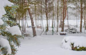 a snow covered forest with a bunch of trees at Pet Friendly Home In Sokole Kuznica With Kitchen in Sokole-Kuźnica