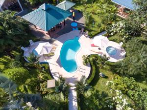 - une vue sur la piscine bordée de parasols dans l'établissement Casa Martina, à Cahuita