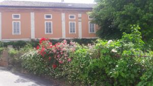un jardin de fleurs devant un bâtiment dans l'établissement Agriturismo Azienda Agricola Mombisaggio, à Tortone