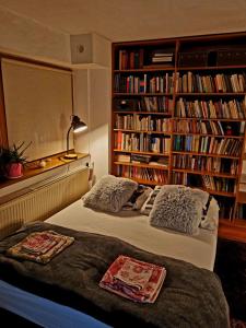 a bedroom with two beds and a book shelf with books at Martin´s House in Martin