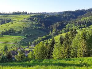 a green hillside with trees and houses on it at Domek na szlaku RIKARDO in Ponice +18 photos
