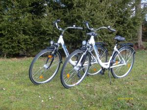 due biciclette parcheggiate l'una accanto all'altra sull'erba di Ferienwohnung Strandwiese a Graal-Müritz