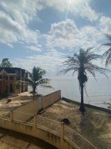 AboissoにあるVilla CB village Abyの椰子の木の水の景色