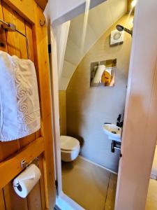 Baño pequeño con aseo y lavamanos en The Golden Ball Luxury Pods, en Morecambe