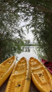 Paesaggio naturale nelle vicinanze della casa vacanze