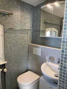 W łazience znajduje się toaleta, umywalka i lustro. w obiekcie Room with 360° view overlooking Lake Geneva and Alps w mieście Puidoux