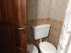 łazienka z toaletą i zasłoną prysznicową w obiekcie Hermosa cabaña con vista a la montaña w mieście Tunuyán