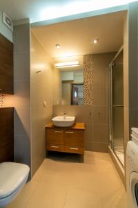 a bathroom with a sink and a shower and a toilet at Apartament Marina in Jastarnia