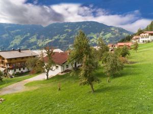 a village in the mountains with a green field and trees at Chalet Blaserhof in Zell am Ziller