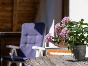 Vonkajšia záhrada v ubytovaní Apartment Rosi