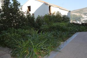 Fotografia z galérie ubytovania Apartments with WiFi Dubrovnik - 8565 v Dubrovníku