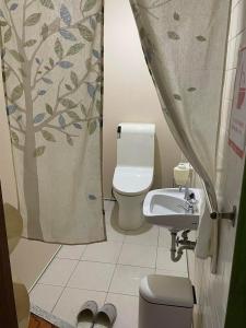 a bathroom with a toilet and a shower curtain at 川端屋　kawabataya in Minamiechizen